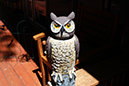 %_tempFileNameCindy%20Hawkins_766020_assignsubmission_file_owl%