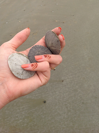 %_tempFileNameWhitney%20Dandridge_816248_assignsubmission_file_Beach%20Treasures%