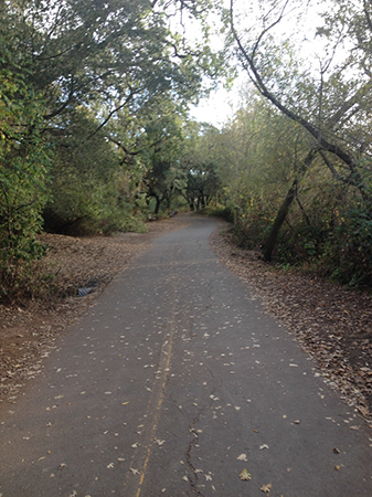 %_tempFileNameWhitney%20Dandridge_816248_assignsubmission_file_The%20path%