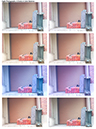 %_tempFileNameLeroy%20Newton_780264_assignsubmission_file_color-balance%