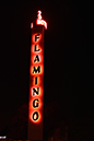 %_tempFileNameLynnette%20Duncan_771651_assignsubmission_file_DSC_3256%