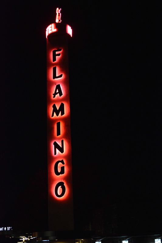 %_tempFileNameLynnette%20Duncan_771651_assignsubmission_file_DSC_3279%