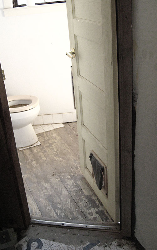 Dead Rats in the Toilet