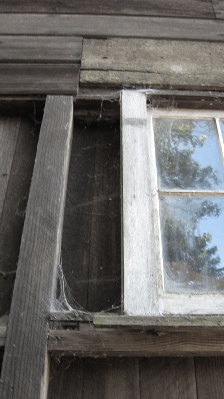 Window to Outside