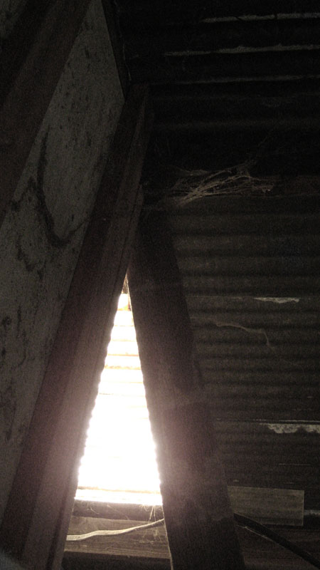light through the roof