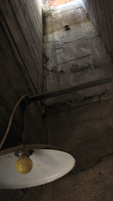 the tunnel