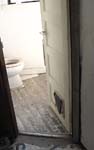 Dead Rats in the Toilet