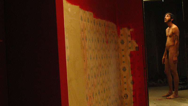 IMG_1005 copy