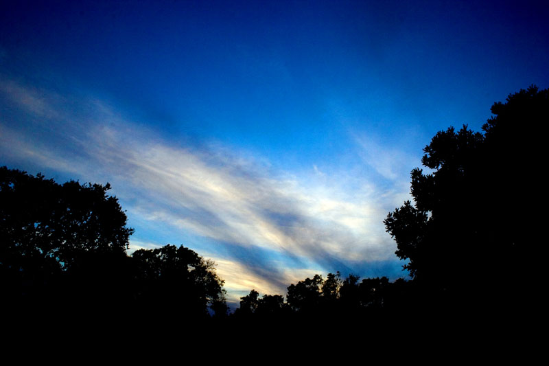 campusSunset8864