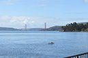 %_tempFileNameElizabeth%20Chabot_642545_assignsubmission_file_Sf_bridge%