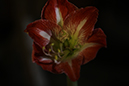 %_tempFileNameDori%20Maggart_993131_assignsubmission_file_ISO_100%